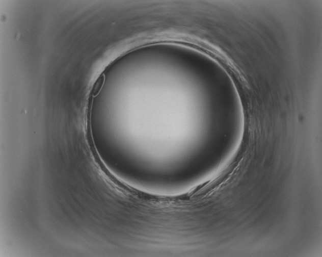 X0000086231512200703291316