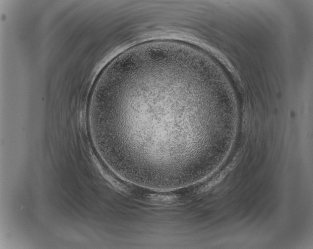 X0000086231513200703291316