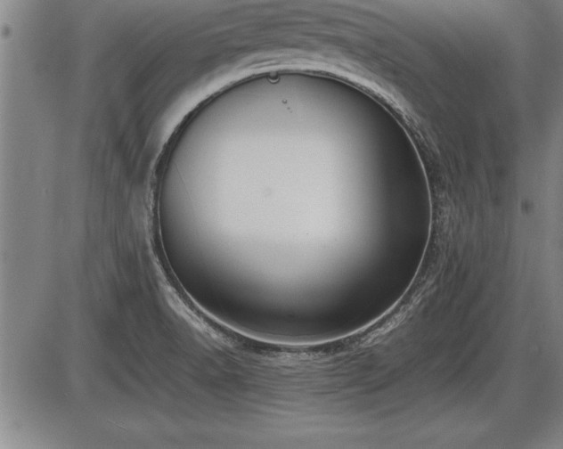 X0000086231518200703291316