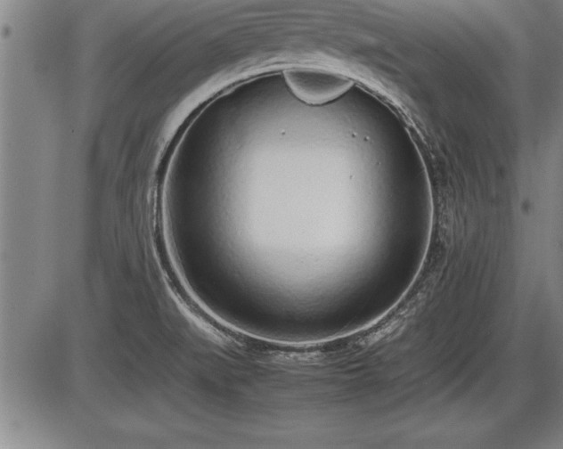 X0000086231519200703291316