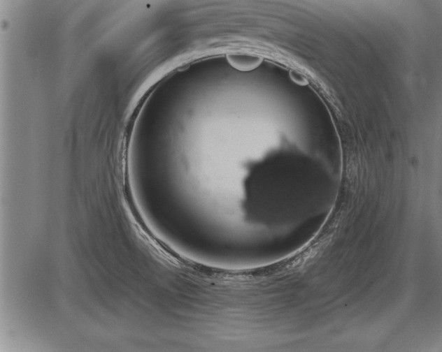 X0000086231522200703291316