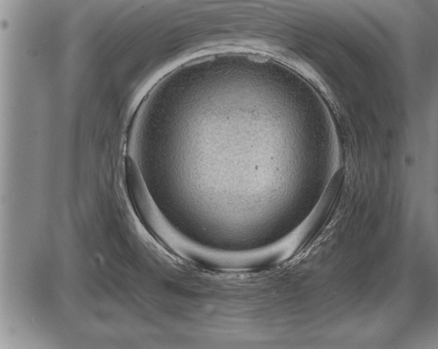 X0000086231524200703291316
