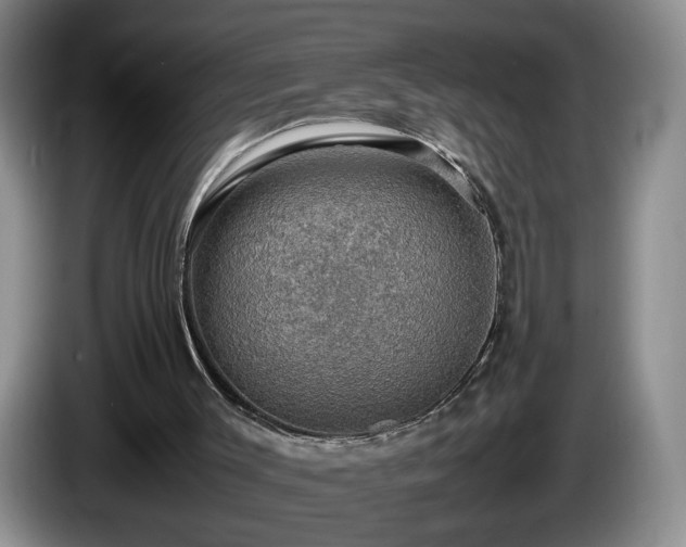 X0000086230003200704051207