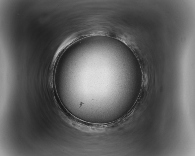 X0000086230004200704051207