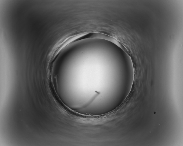 X0000086230005200704051207