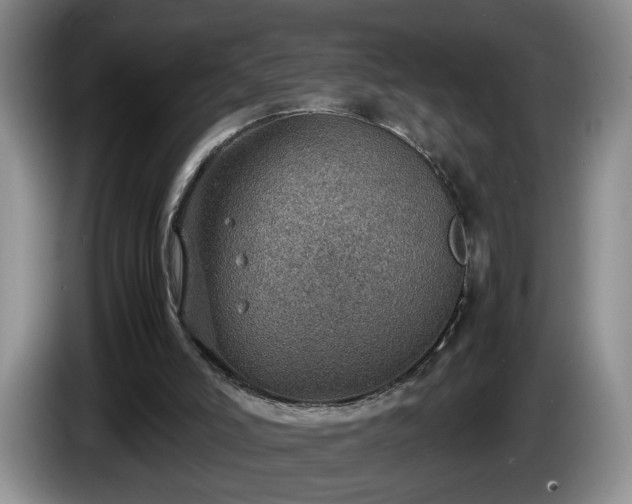 X0000086230006200704051207