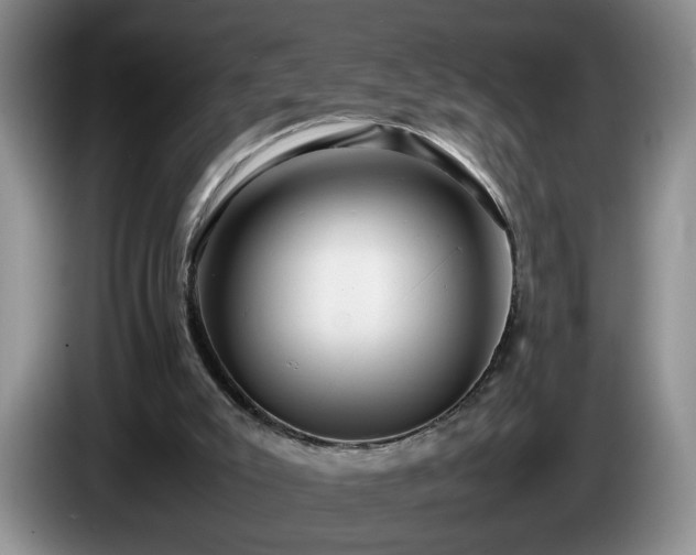 X0000086230007200704051207