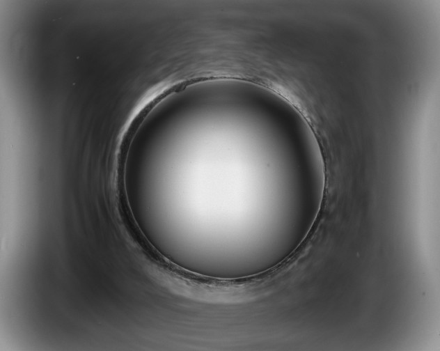 X0000086230008200704051207