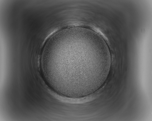 X0000086230010200704051207