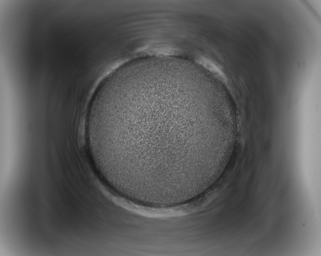 X0000086230012200704051207