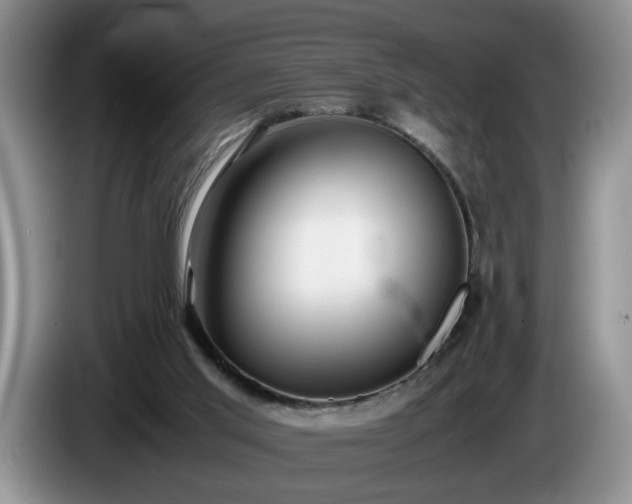 X0000086230013200704051207