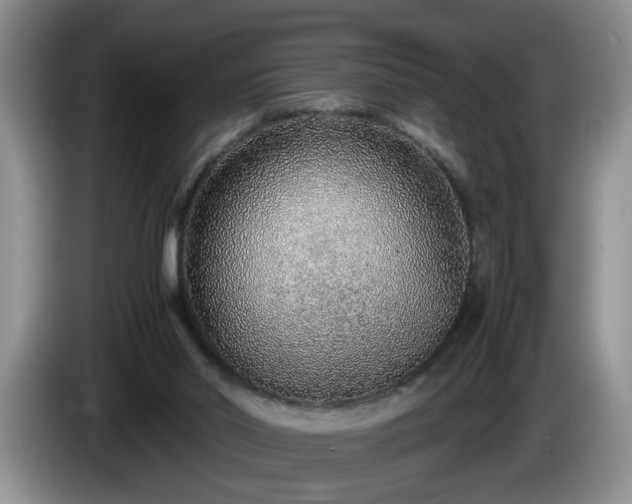 X0000086230014200704051207