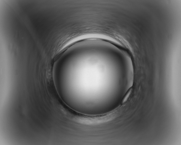 X0000086230017200704051207