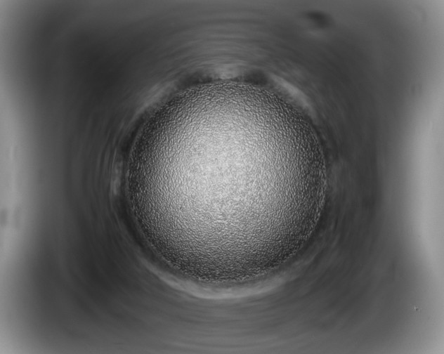 X0000086230018200704051207