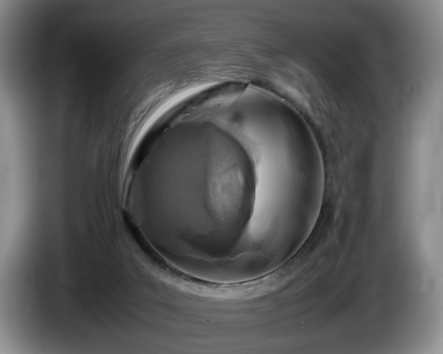 X0000086230019200704051207