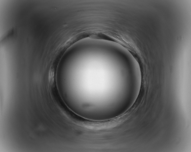 X0000086230021200704051207