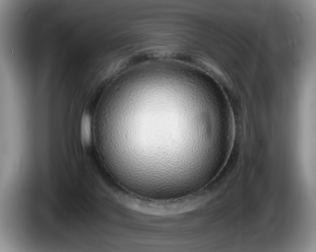 X0000086230022200704051207