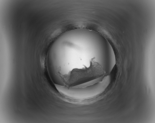 X0000086230023200704051207