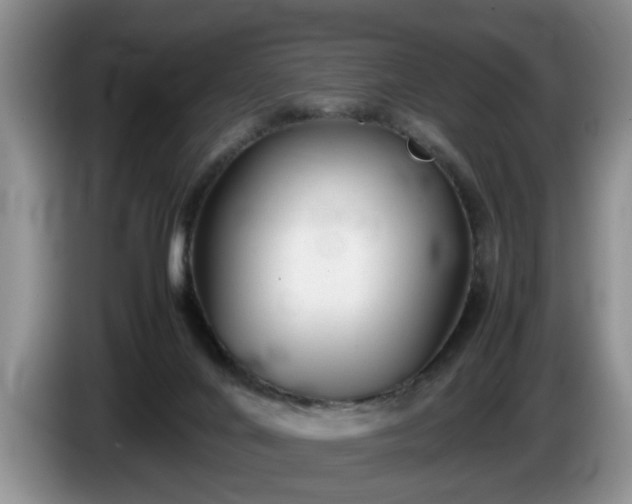 X0000086230024200704051207