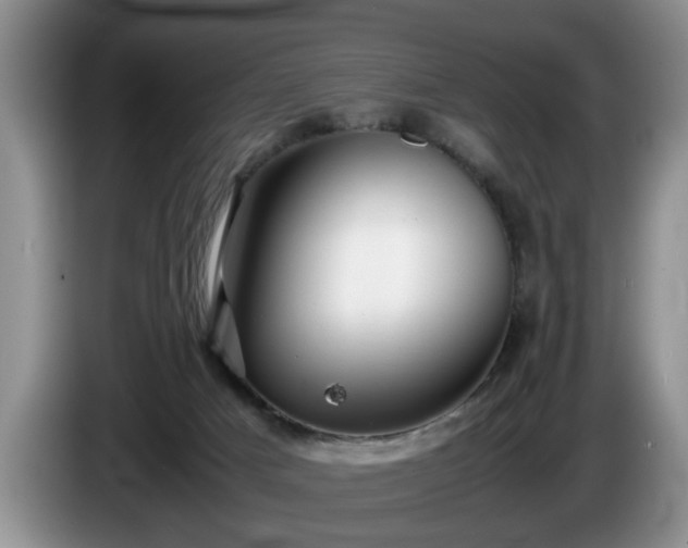 X0000086230025200704051207