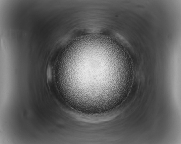 X0000086230026200704051207