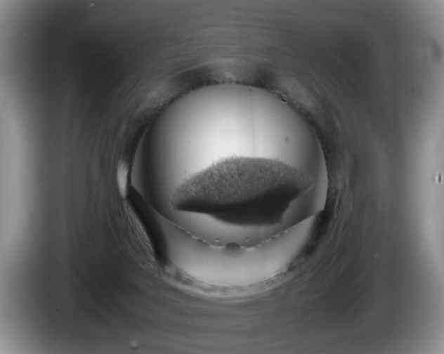 X0000086230027200704051207