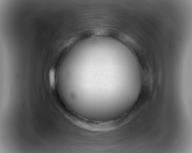 X0000086230028200704051207