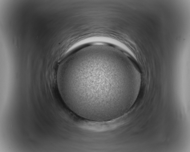 X0000086230029200704051207