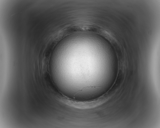 X0000086230030200704051207