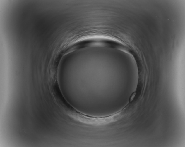 X0000086230031200704051207