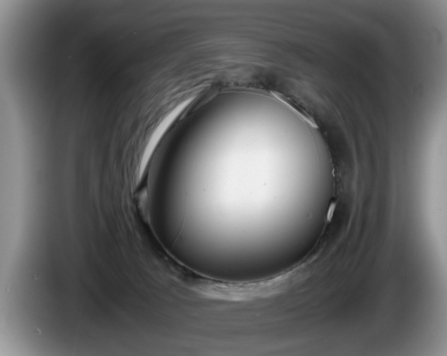 X0000086230033200704051207