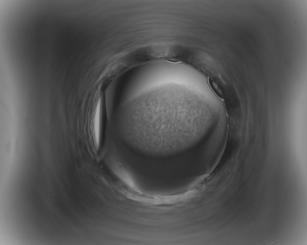 X0000086230035200704051207