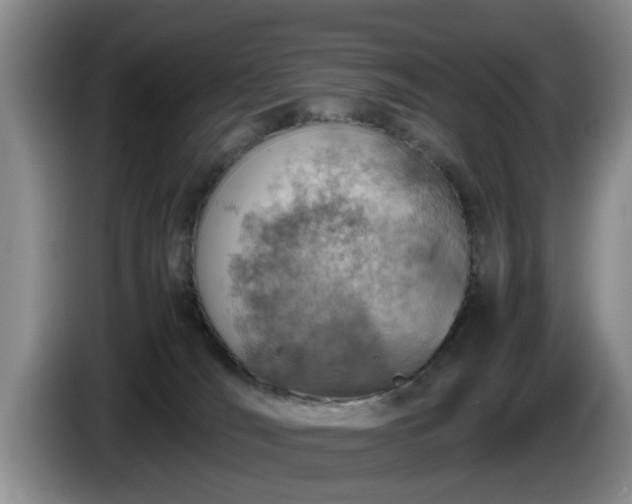 X0000086230036200704051207