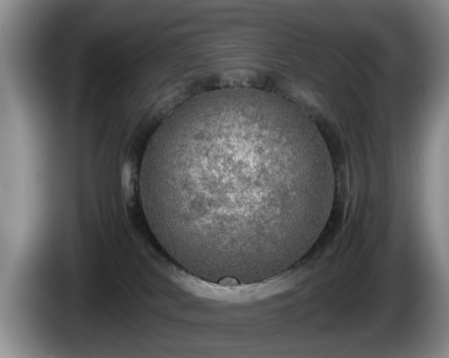 X0000086230038200704051207