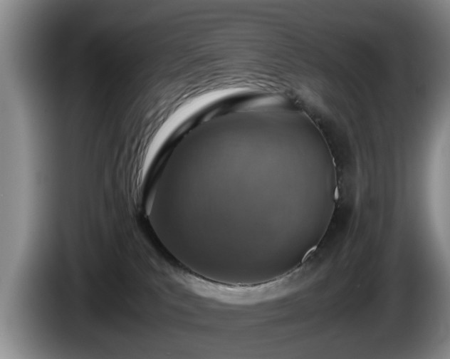 X0000086230039200704051206