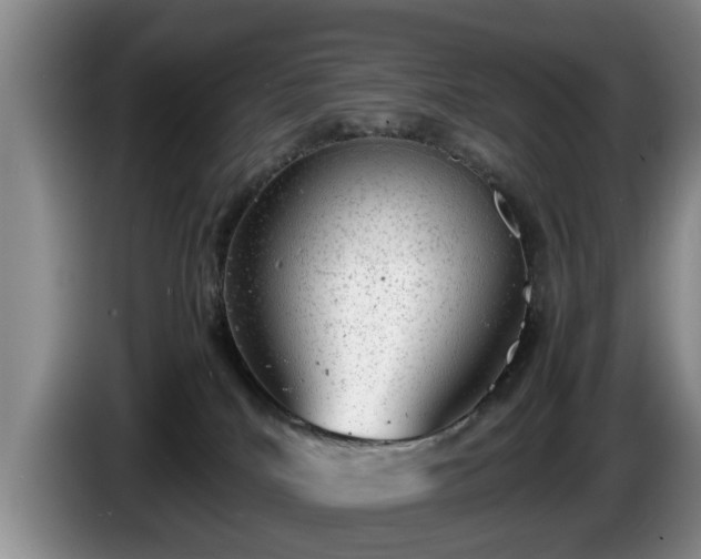 X0000086230040200704051206