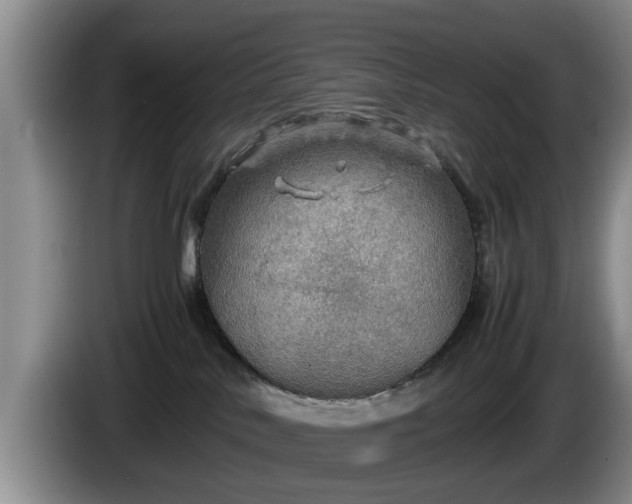 X0000086230042200704051206