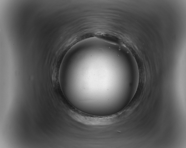 X0000086230044200704051206