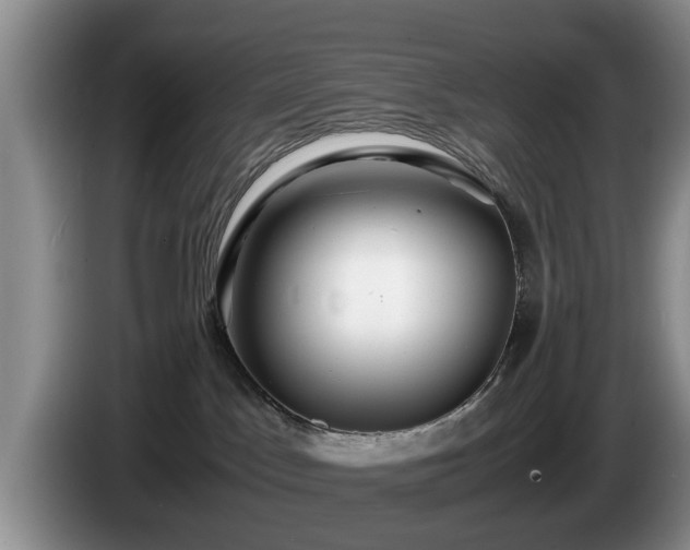 X0000086230045200704051206