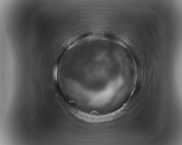 X0000086230047200704051206