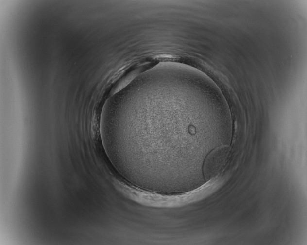 X0000086230048200704051206