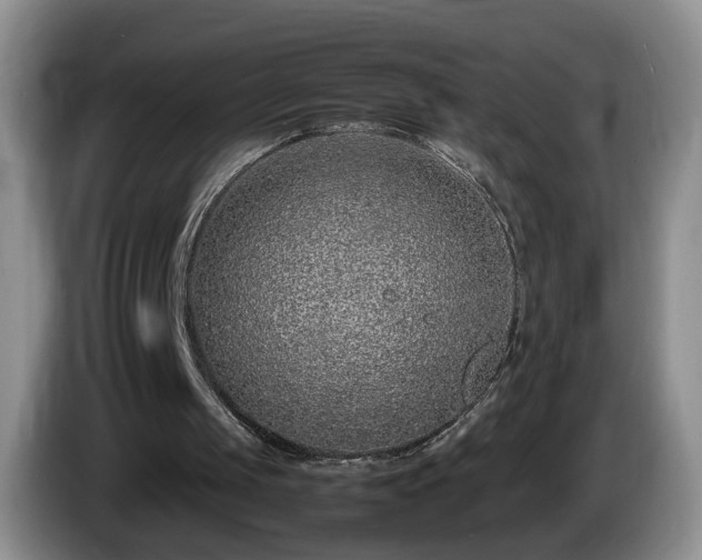 X0000086230049200704051206