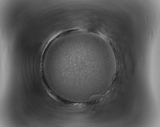 X0000086230050200704051206