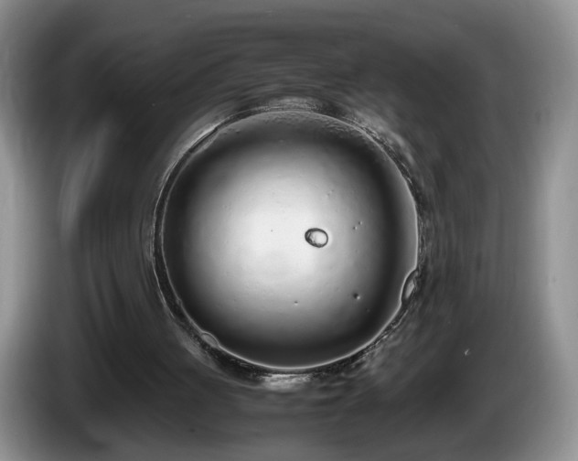 X0000086230051200704051206