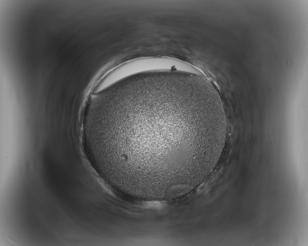 X0000086230053200704051206