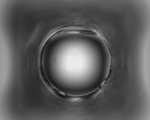 X0000086230055200704051206