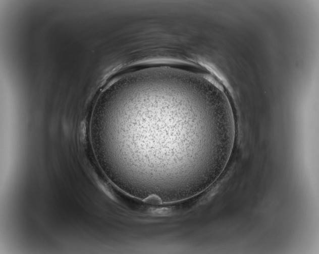 X0000086230057200704051206