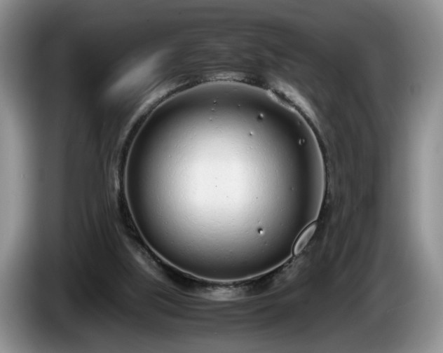 X0000086230059200704051206