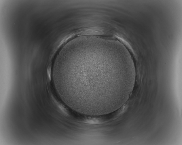 X0000086230062200704051206