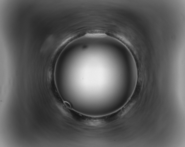 X0000086230063200704051206